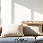 فوم سرد رایان